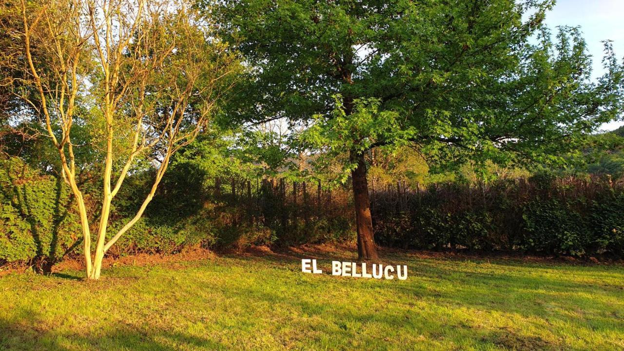Onís Casa Rural El Bellucu المظهر الخارجي الصورة